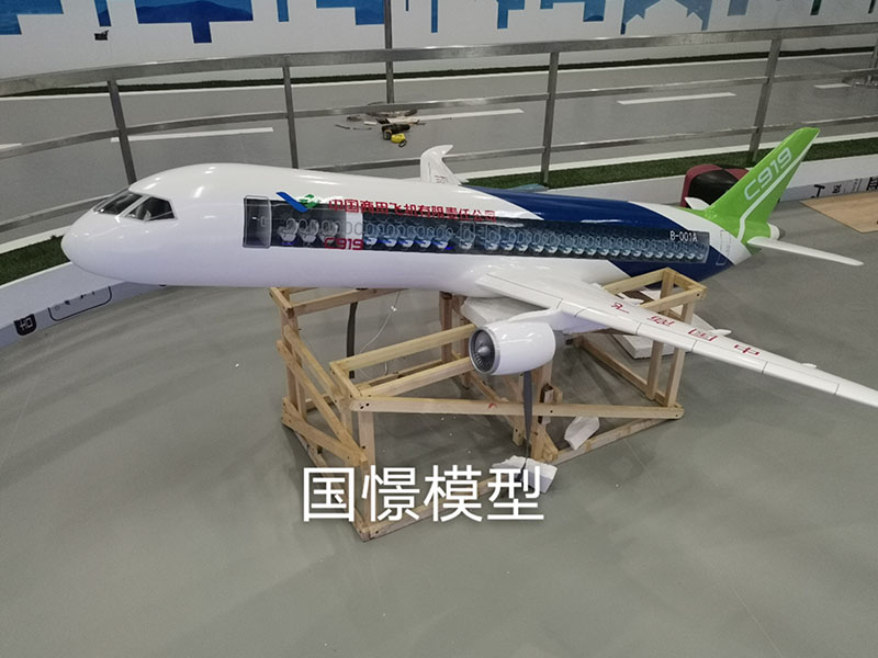 眉山飞机模型